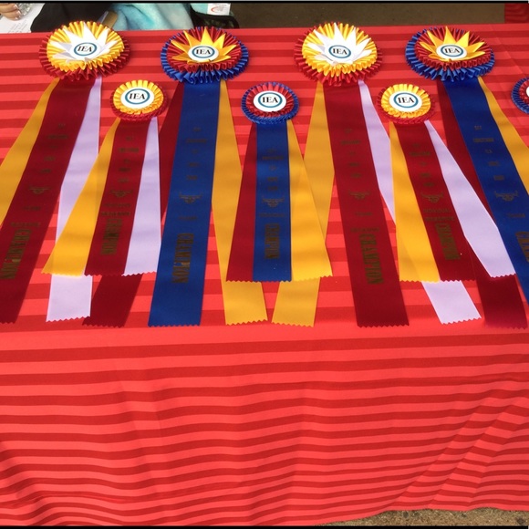 Meet your Posher, Dawn - Picture 1 of 1